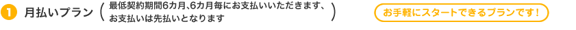 (1)月払いプラン