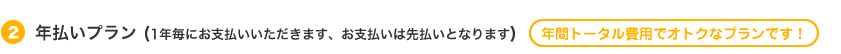 (2)年払いプラン